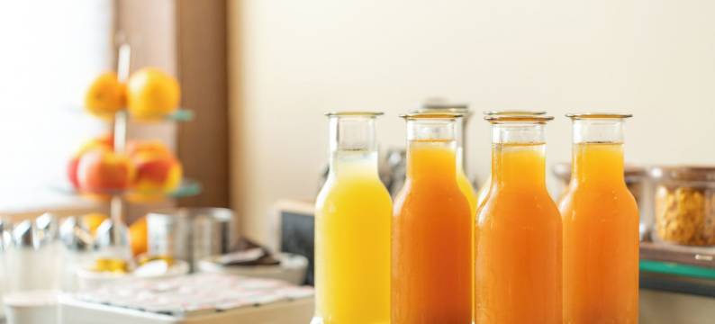 湖畔之家斯图本贝格(Haus am See Stubenberg)图片