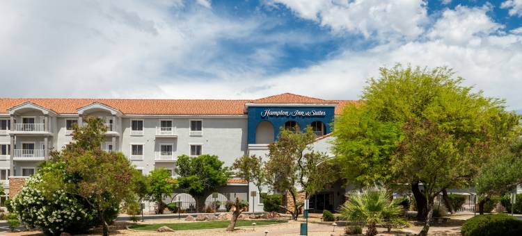 梅斯基特希尔顿欢朋酒店(Hampton Inn & Suites by Hilton Mesquite)图片