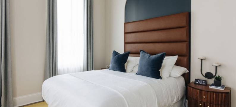 紫马丁(The Purple Martin - the Perch)图片