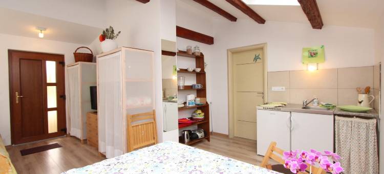 罗威尼开间之家(Studio Rovinj Home)图片