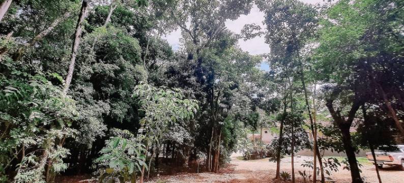 Recanto das Videiras酒店(Recanto Das Videiras)图片