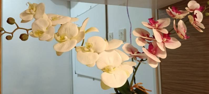 达里斯卡民宿(D'Ariska Rooms Homestay)图片