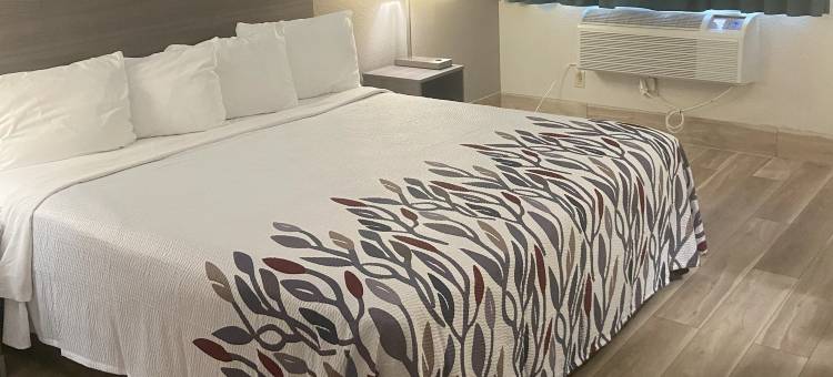 昆斯伯里红屋顶酒店(Red Roof Inn Queensbury)图片