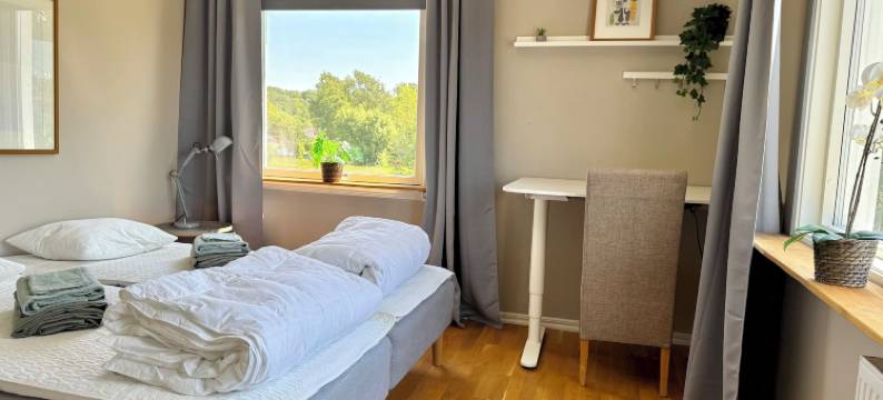 沙微蓝(Solglimt)图片