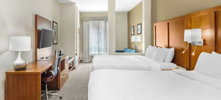 格林斯伯勒 - 高点舒适套房酒店(Comfort Suites Greensboro-High Point)图片