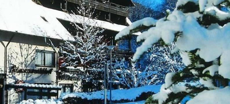 斯切瓦兹德霍夫酒店(Hotel Restaurant Schwarzwaldhof)图片