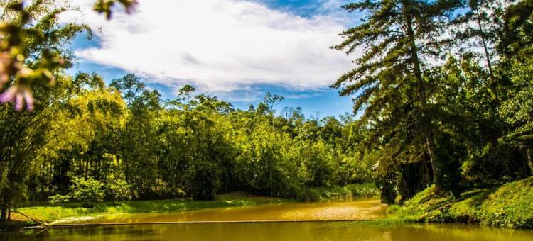 布兰卡之家旅馆(Casa Branca Pousada)图片