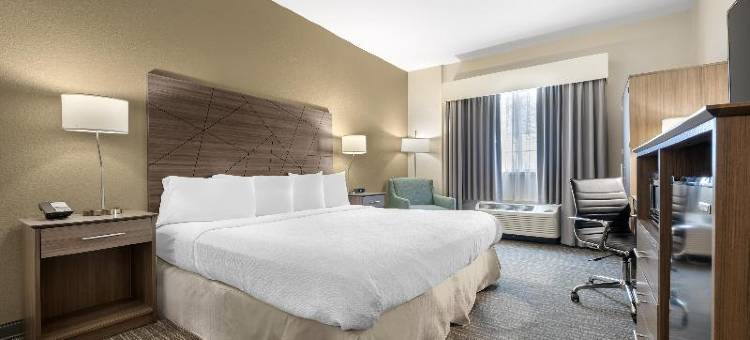 布罗克波特贝斯特韦斯特套房酒店(Best Western Brockport Inn  Suites)图片