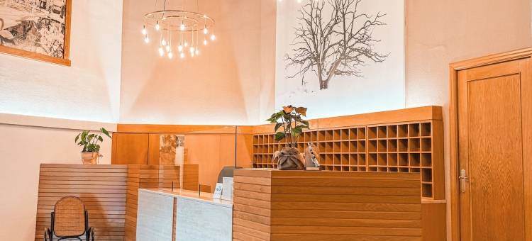 普奇塞达公园酒店(Puigcerda Park Hotel)图片