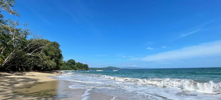 瑟塔旅馆(Satta Lodge)图片