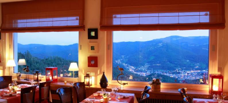 全​​景酒店(Logis Hôtel Restaurant Panorama)图片