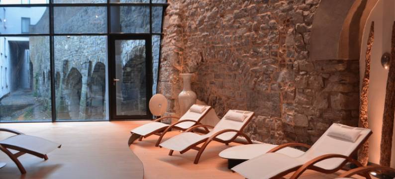 乐康姆特德敏酒店(Van der Valk Sélys Liège Hotel & Spa)图片