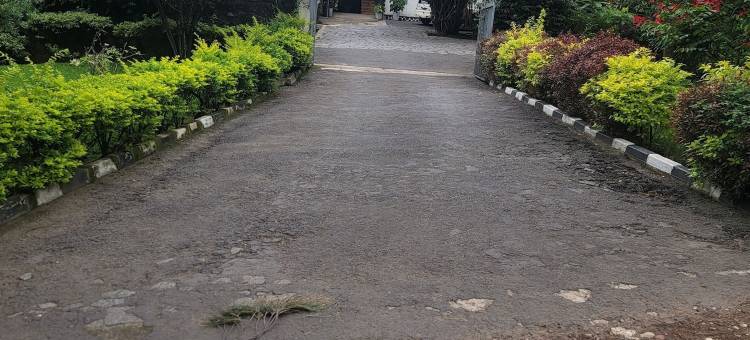 麦迪的厨房和住宿(Maddy's Kitchen and Accommodation)图片