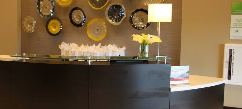 Holiday Inn & Suites 东皮奥里亚(Holiday Inn & Suites EAST PEORIA by IHG)图片