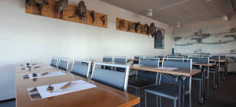 帕拉斯拉普兰酒店(Lapland Hotels Pallas)图片