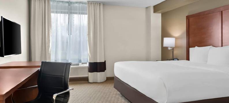 舒适套房酒店(Comfort Inn & Suites)图片