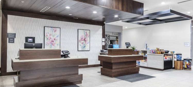 底特律尤蒂卡希尔顿花园旅馆(Hilton Garden Inn Detroit Utica)图片