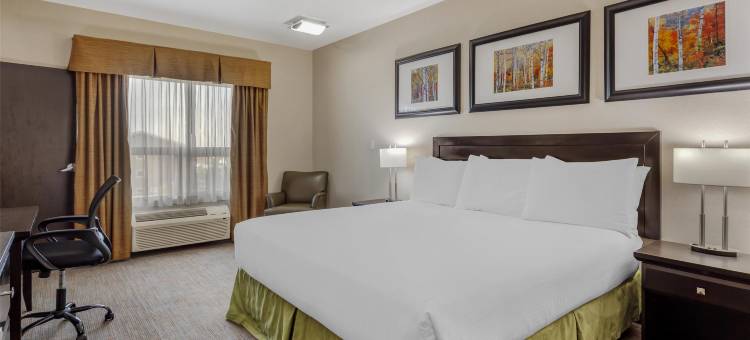 温赖特贝斯特韦斯特套房酒店(Best Western Wainwright Inn  Suites)图片