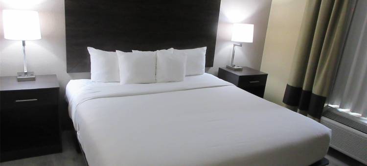 Best Western Kenner图片