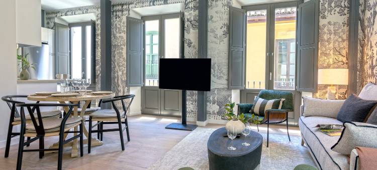 Spectacular apartment in Granada center. San Matías III图片