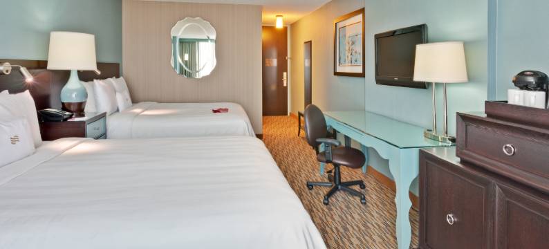 芝加哥奥黑尔皇冠假日酒店与会议中心(Crowne Plaza CHICAGO OHARE HOTEL & CONF CTR by IHG)图片