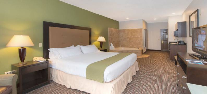 芝加哥迪尔菲尔德/林肯郡智选假日套房酒店(Holiday Inn Express & Suites CHICAGO-DEERFIELD/LINCOLNSHIRE by IHG)图片