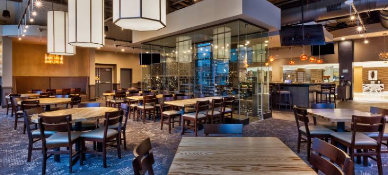 Hotel Indigo 罗切斯特城中心(Hotel Indigo ROCHESTER – MAYO CLINIC AREA by IHG)图片