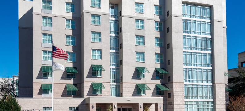 希尔顿坦帕机场-西岸家木套房酒店(Homewood Suites by Hilton Tampa Airport-Westshore)图片