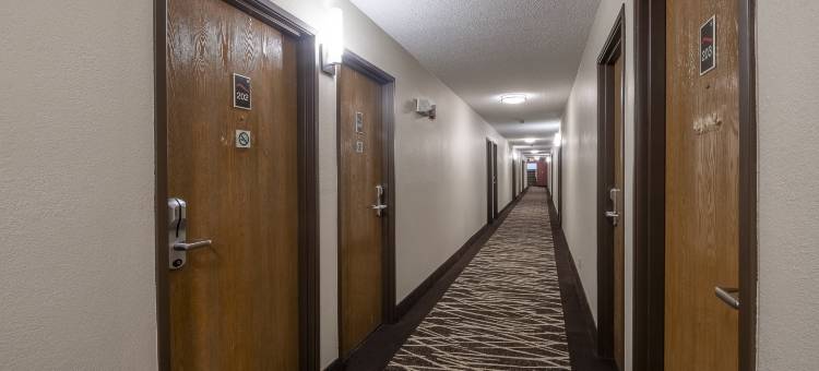 布里斯托尔红顶酒店(Red Roof Inn Bristol)图片