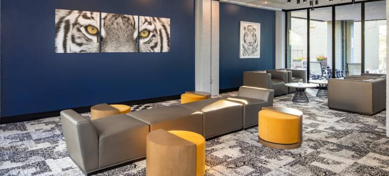 查塔努加市中心英迪格酒店(Hotel Indigo CHATTANOOGA - DOWNTOWN by IHG)图片