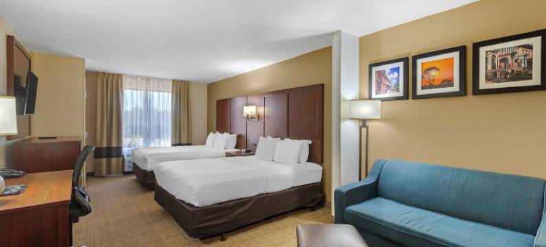 萨凡纳 I-95 高速公路舒适套房酒店(Comfort Suites Savannah Gateway I-95)图片