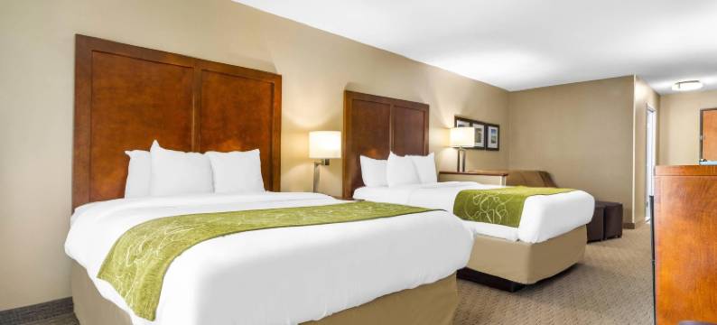 舒适套房酒店(Comfort Suites)图片