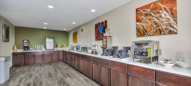 舒眠酒店及套房 - 牛津 - 大学区域(Sleep Inn & Suites - Oxford - University Area)图片