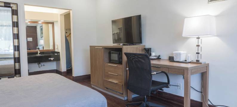 博卡－拉顿大学区凯艺酒店(Quality Inn Boca Raton University Area)图片