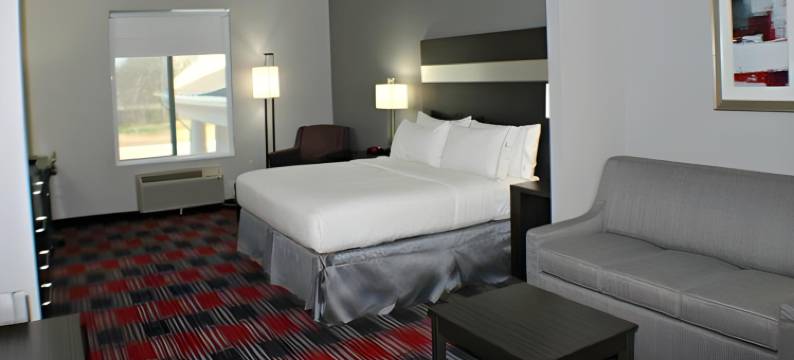 博纳姆洲际智选假日套房酒店(Holiday Inn Express & Suites BONHAM by IHG)图片