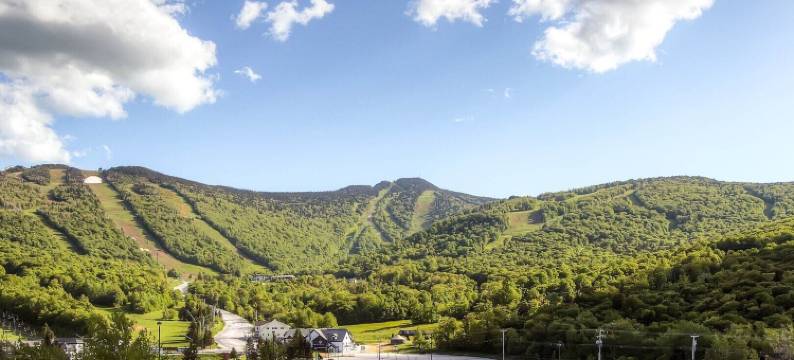 甜蜜生活(Sweet Life)图片