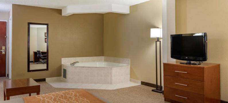 萨沃尼舒适套房酒店-秀格尔洛弗(Comfort Inn & Suites Suwanee - Sugarloaf)图片