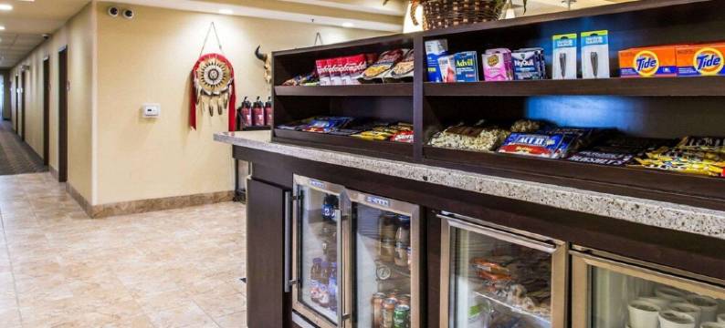 拉皮德城美茵斯坦套房酒店(MainStay Suites Rapid City)图片