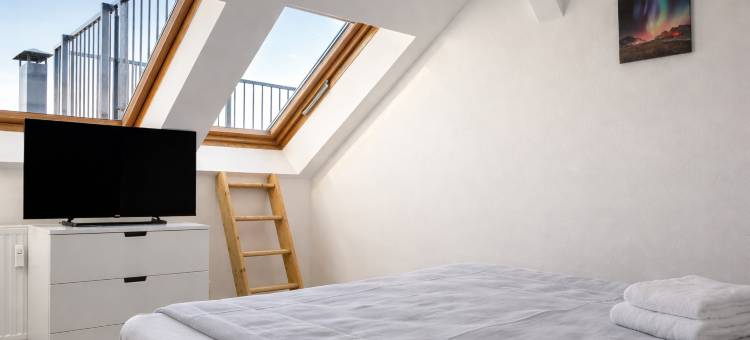 MIILOX 公寓 凯姆尼茨(MIILOX Apartments Chemnitz)图片