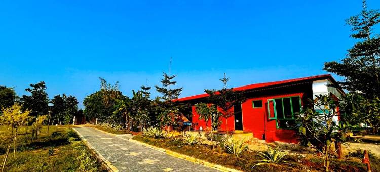 赛普拉萨德老虎度假村-彭奇(Saiprasad Tiger Resorts - Pench)图片