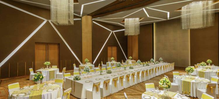 艾哈迈达巴德诺富特酒店(Novotel Ahmedabad)图片