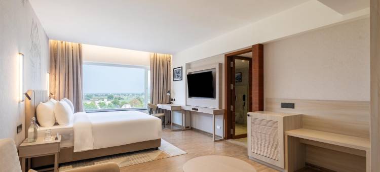 希尔迪神庙树酒店，丽笙精选成员(Temple Tree Hotel Shirdi, a member of Radisson Individuals)图片