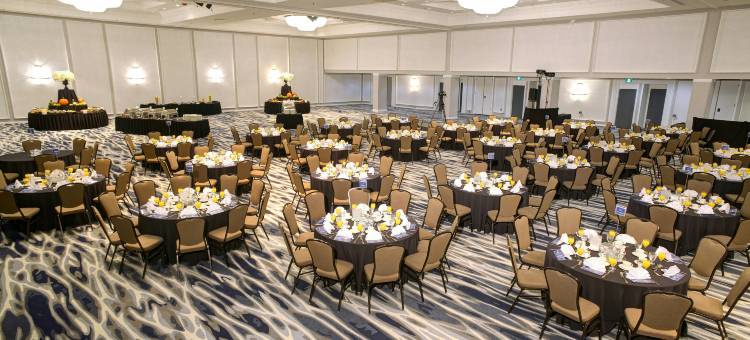 安大略伦敦希尔顿逸林酒店(DoubleTree by Hilton London Ontario)图片