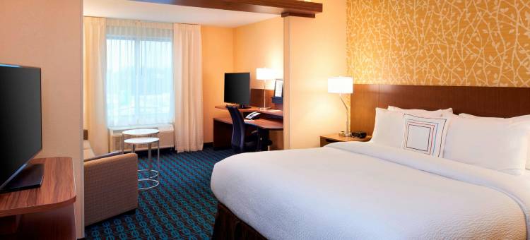 安娜堡伊普西兰蒂万枫酒店及套房(Fairfield Inn & Suites Ann Arbor Ypsilanti)图片