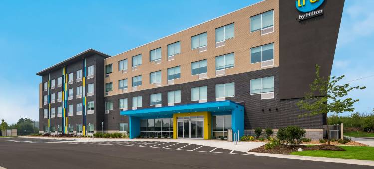 诺维底特律希尔顿特鲁酒店(Tru by Hilton Novi Detroit)图片