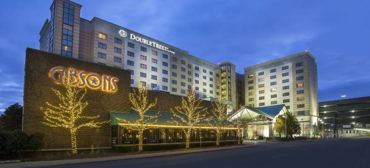 芝加哥罗斯蒙特欧海尔机场希尔顿逸林酒店(DoubleTree by Hilton Chicago O'Hare Airport-Rosemont)图片