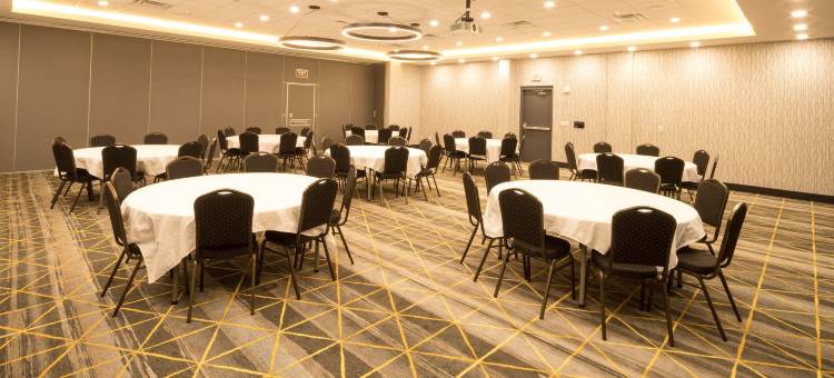 卡拉马祖西假日酒店(Holiday Inn & Suites Kalamazoo West)图片