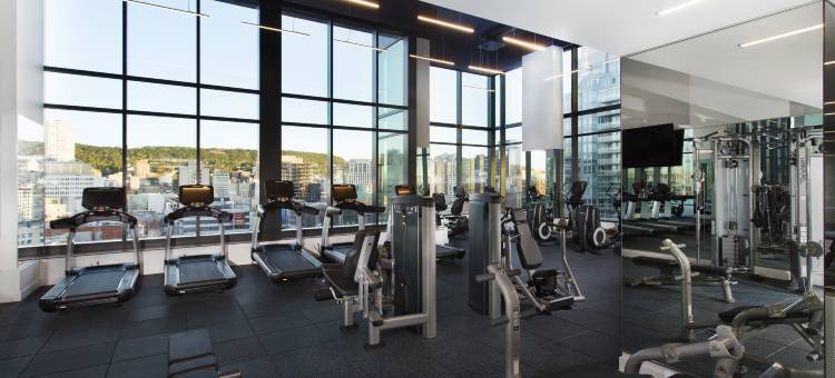 假日套房酒店-蒙特利尔-乌艾斯特镇(Holiday Inn & Suites Montreal Centre-Ville Ouest)图片
