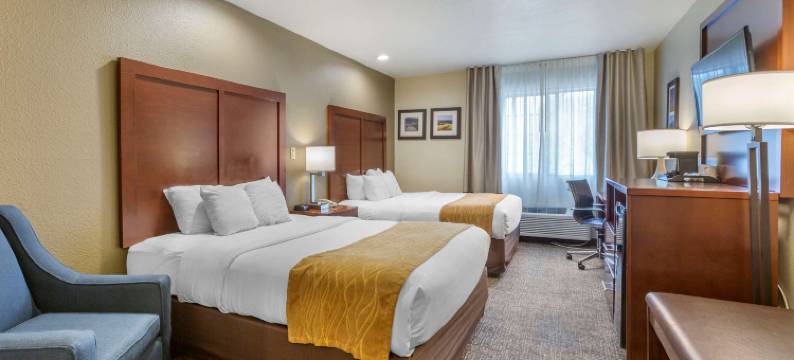 I-17&I-40号舒适酒店(Comfort Inn I-17 & I-40)图片