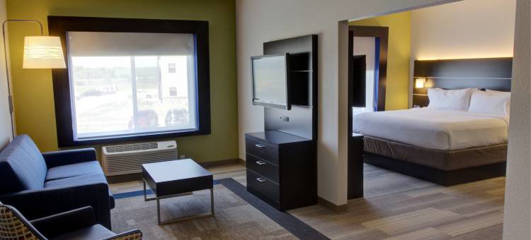 勒马斯智选假日套房酒店(Holiday Inn Express & Suites le Mars)图片